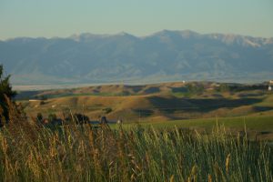 Montana Land for Sale
